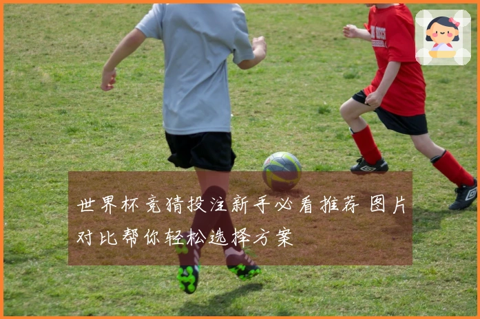 世界杯竞猜投注新手必看推荐 图片对比帮你轻松选择方案