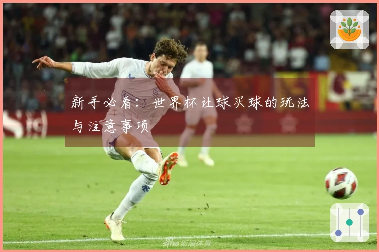 新手必看：世界杯让球买球的玩法与注意事项