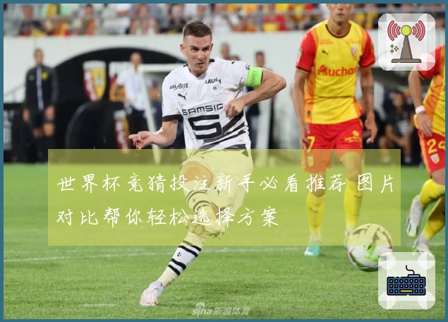 世界杯竞猜投注新手必看推荐 图片对比帮你轻松选择方案